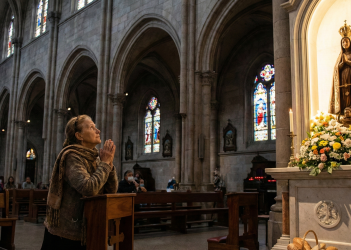 Gemini_Generated_Image_1wxbiv1wxbiv1wxb